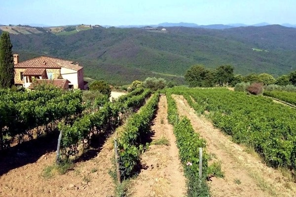 Vinicola Tiezzi