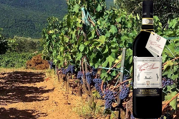 Brunello di Montalcino Vigna Soccorso 2017