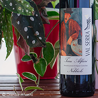 Terre Alfieri Nebbiolo 2019 Val Serra