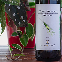Terre Alfieri Arneis 2020 Terre dei Santi