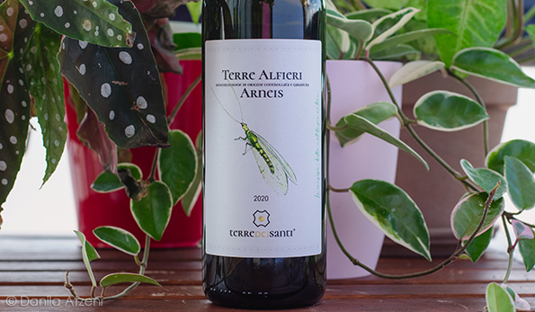 Terre Alfieri Arneis 2020 Terre dei Santi