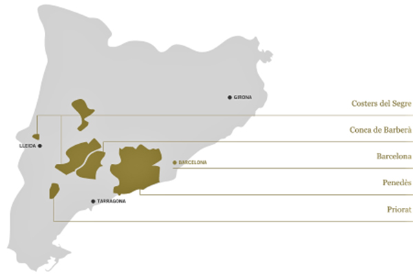 vigneti e denominazioni Torres