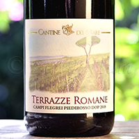 Campi Flegrei Piedirosso Terrazze Romane 2018 Cantine del Mare