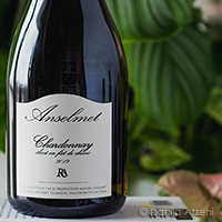 Vallée d'Aoste Chardonnay Elévé en Fût de Chêne 2019 Anselmet