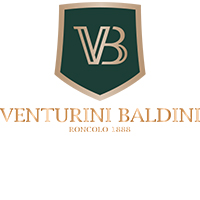 Logo Venturini Baldini
