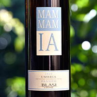 Passito Mammamia 2008 Blasi