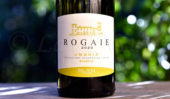 Rogaie Bianco 2020 Blasi Cantina