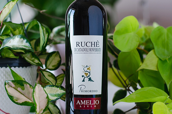 Ruché di Castagnole Monferrato Primordio 2020 Amelio Livio