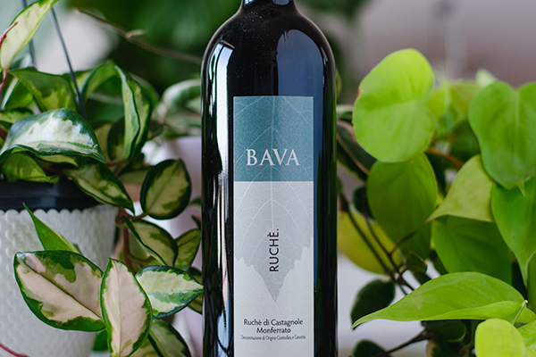 Ruché di Castagnole Monferrato 2019 Bava