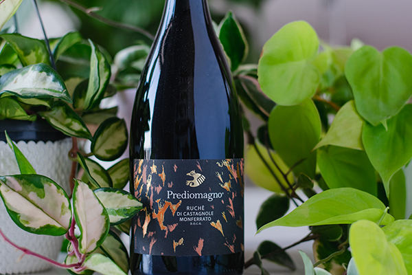 Ruché di Castagnole Monferrato 2019 Prediomagno