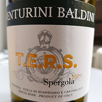 Colli di Scandiano e Canossa Spergola T.E.R.S. 2019 Venturini Baldini