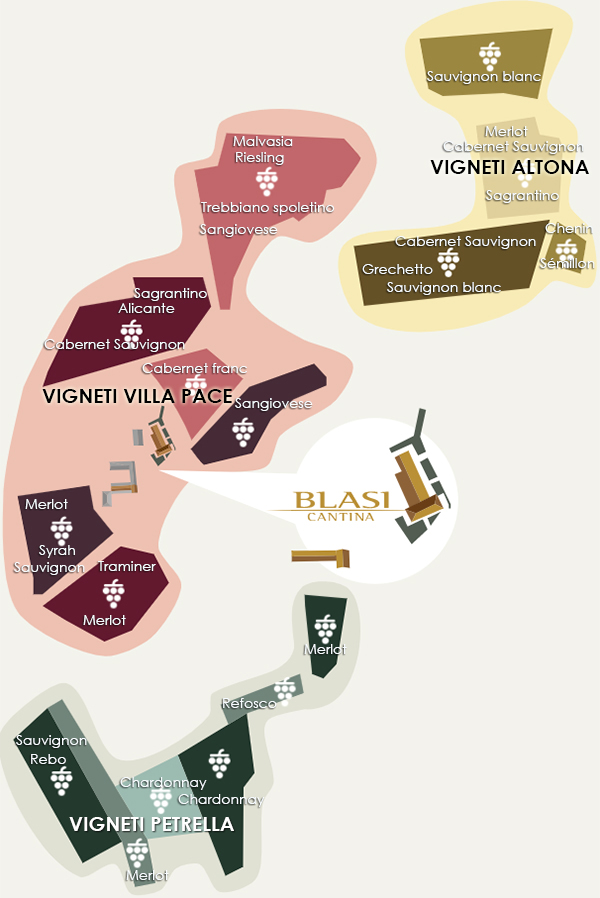 Vigneti Blasi