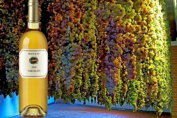 Breganze Torcolato Igt 2016 di Maculan