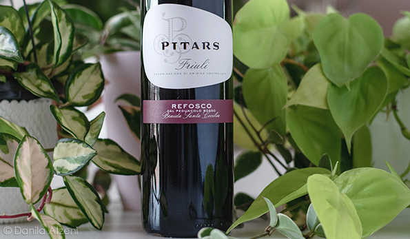 Friuli Refosco dal Peduncolo Rosso 2018 Pitars