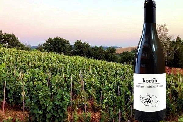 Veltlínské Zelené 2018