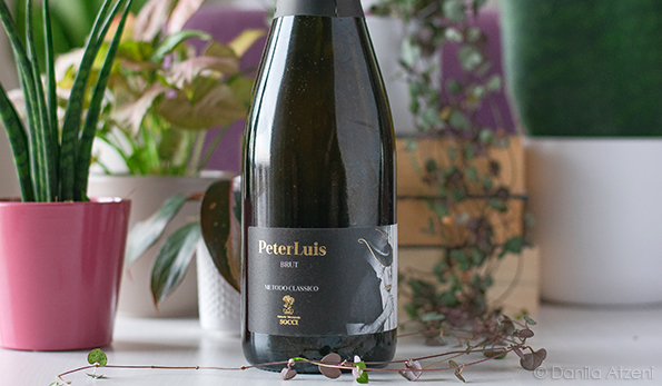 Metodo Classico Brut PeterLuis 2018 Socci