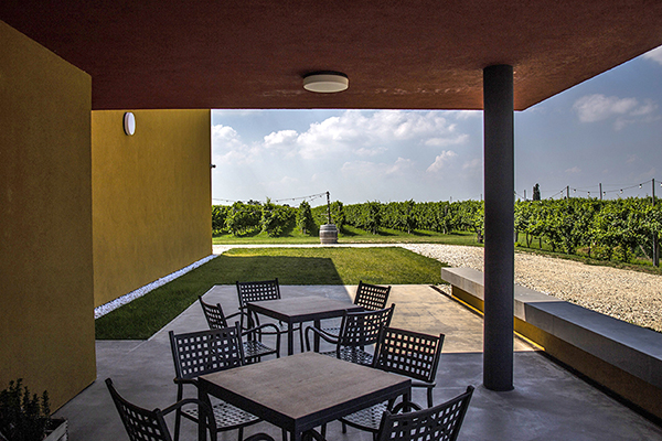 Randi vista sui filari