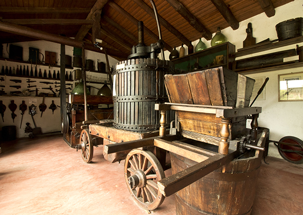 Sala Viticoltura ed Enologia