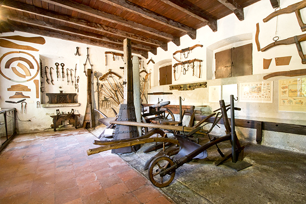 Sala della Veterinaria