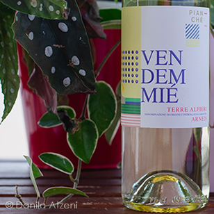 Terre Alfieri Arneis 2020 Pianchè