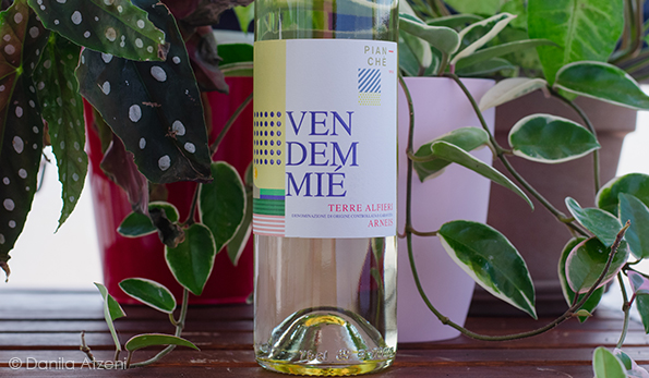 Terre Alfieri Arneis 2020 Pianchè