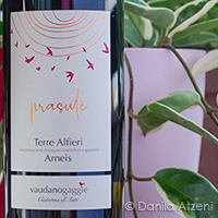 Terre Alfieri Arneis Prasulè 2020 Enrico Vaudano