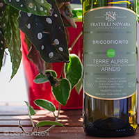 Terre Alfieri Arneis Briccofiorito 2020 Fratelli Novara