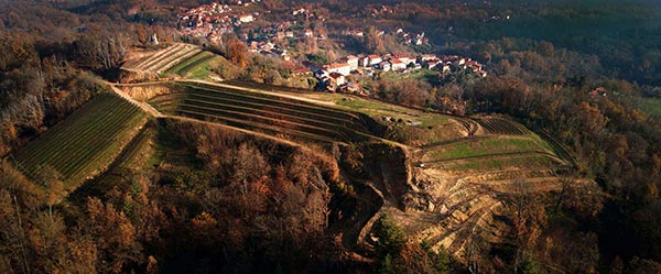 I vigneti visti dall'alto