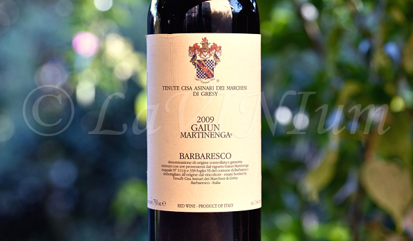 Barbaresco Gaiun Martinenga 2009 Tenute Cisa Asinari dei Marchesi di Grésy