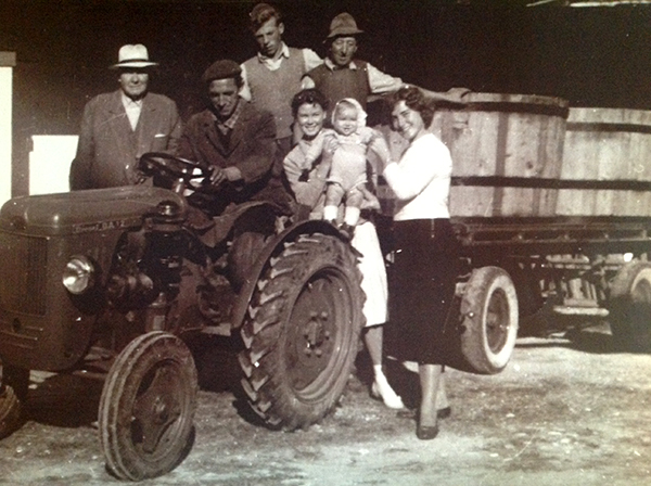 Vendemmia cantina Donati Marco