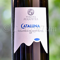 Cataluna 2020 Tenuta Augustea
