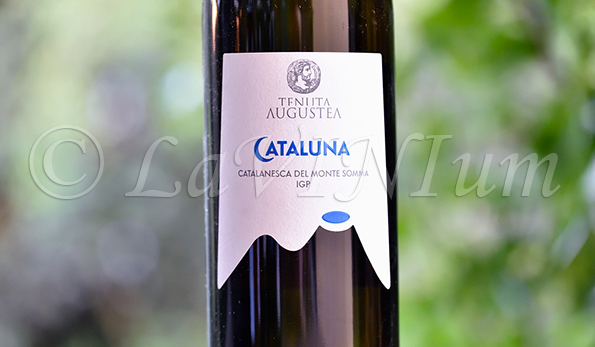 Cataluna 2020 Tenuta Augustea