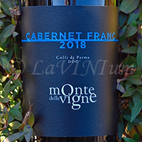 Colli di Parma Cabernet Franc 2018 Monte delle Vigne