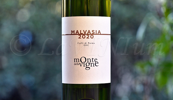 Colli di Parma Malvasia 2020 Monte delle Vigne