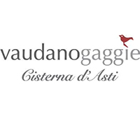 logo Enrico Vaudano