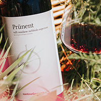 Valli Ossolane Nebbiolo Superiore Prünent 2019 Cantine Garrone