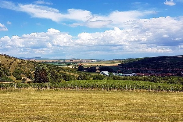 Kobylské Vinařství Čačík