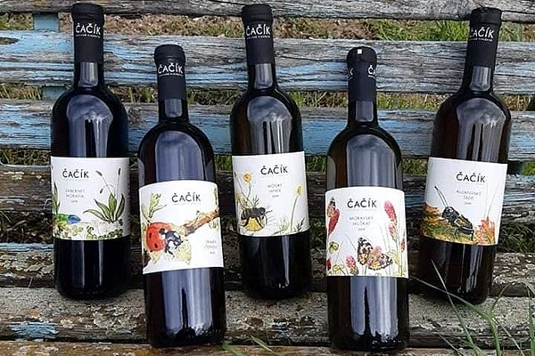 Kobylské Vinařství Čačík