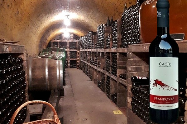 Frankovka Kobylské Vinařství Čačík