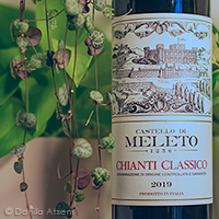 Chianti Classico 2019 Castello di Meleto