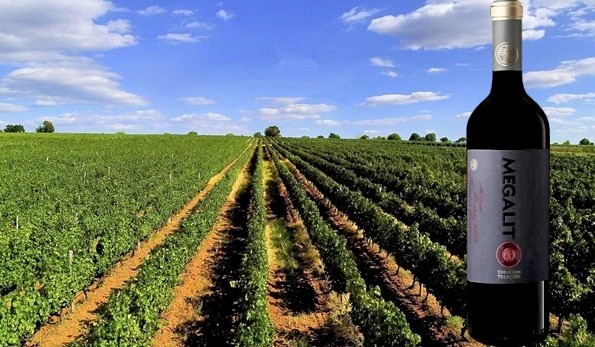 Megalit Merlot 2013 Chateau Kolarovo