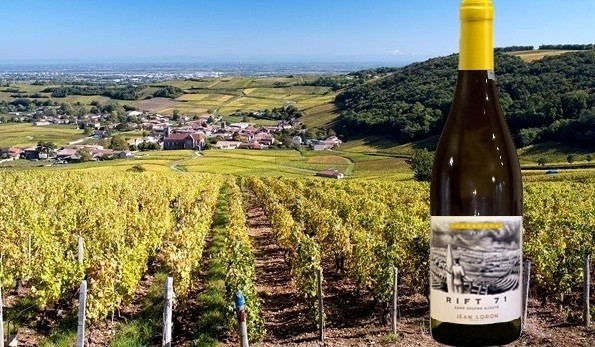 Chardonnay Rift 71 2018 Maison Jean Loron