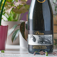 Metodo Classico Dosaggio Zero Ousia 2016 Socci