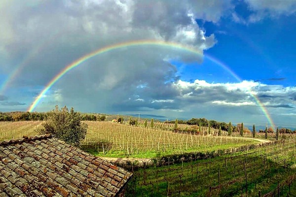 Vigneti Le Potazzine