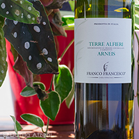 Terre Alfieri Arneis 2020 Franco Francesco