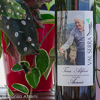 Terre Alfieri Arneis 2020 Val Serra