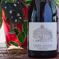 Terre Alfieri Bricco della Cappelletta 2017 Carlin De Paolo
