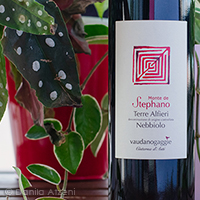 Terre Alfieri Nebbiolo Monte de Stephano 2019 Enrico Vaudano