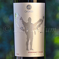 Filare 18 Cabernet Franc 2017 Casadei