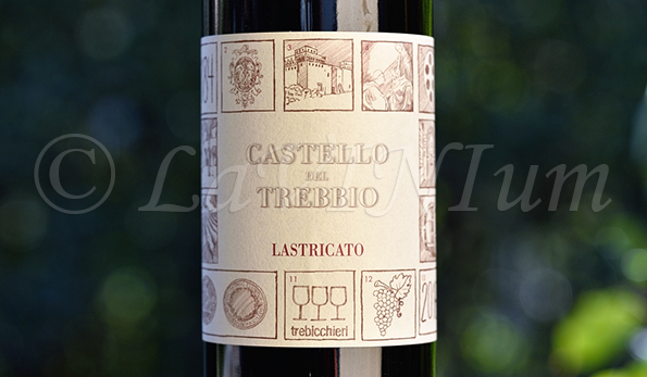 Chianti Rufina Lastricato Riserva 2016 Castello del Trebbio